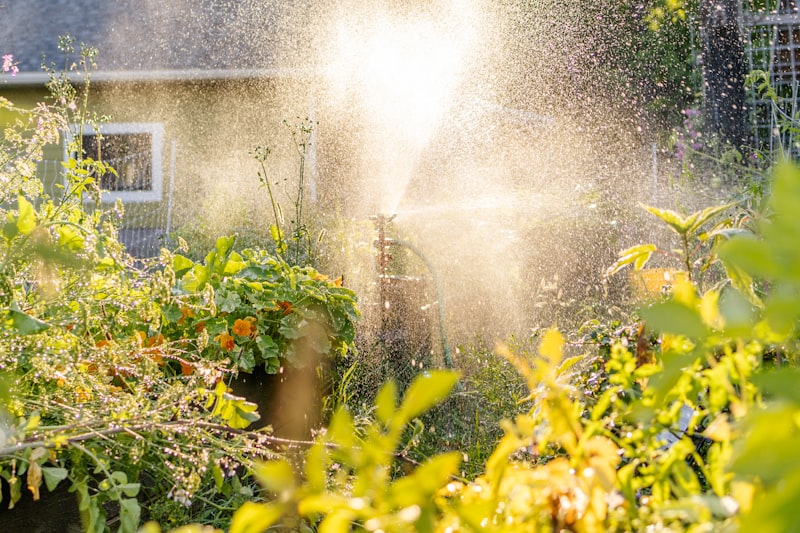 Drip Irrigation