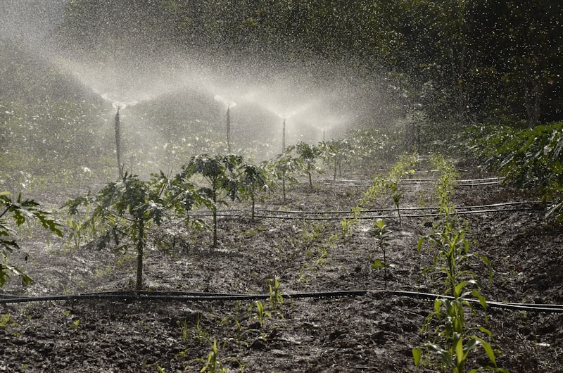 Sprinkler System Installation