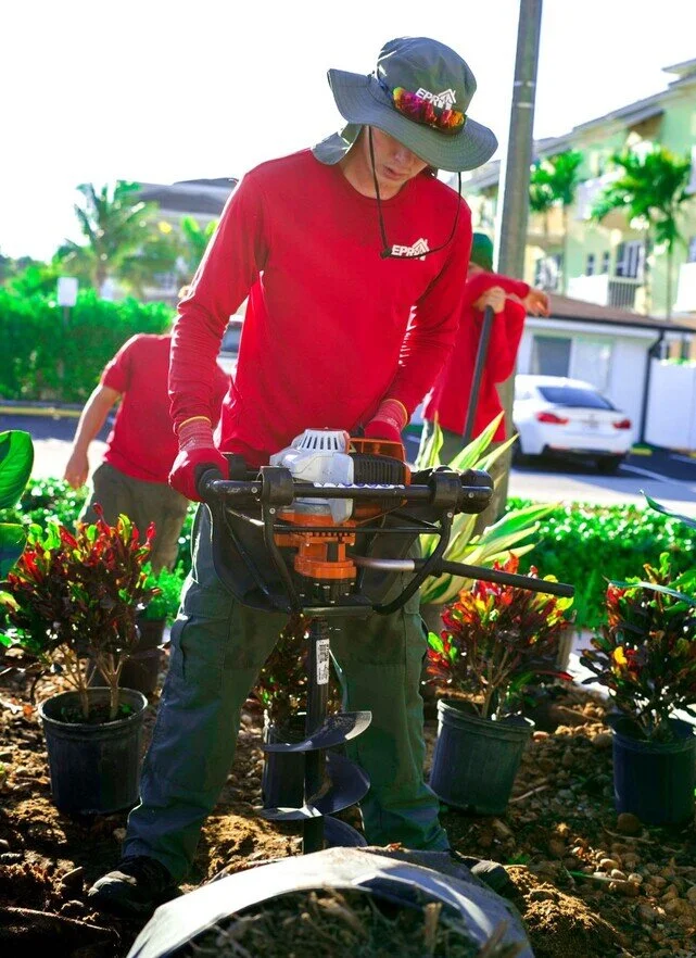 Landscape transformation Broward County