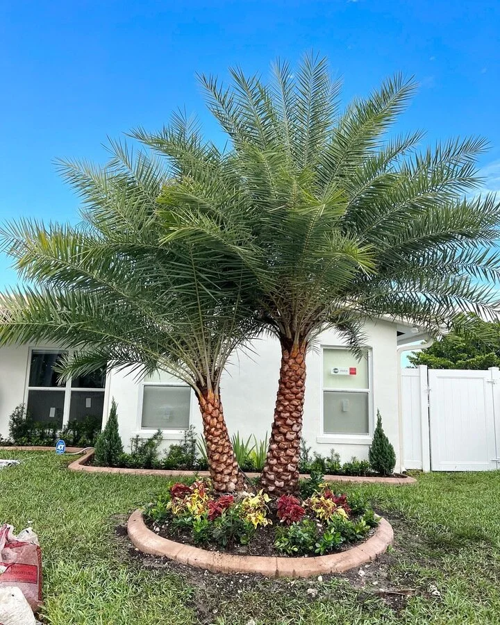 EPR Landscaping design project