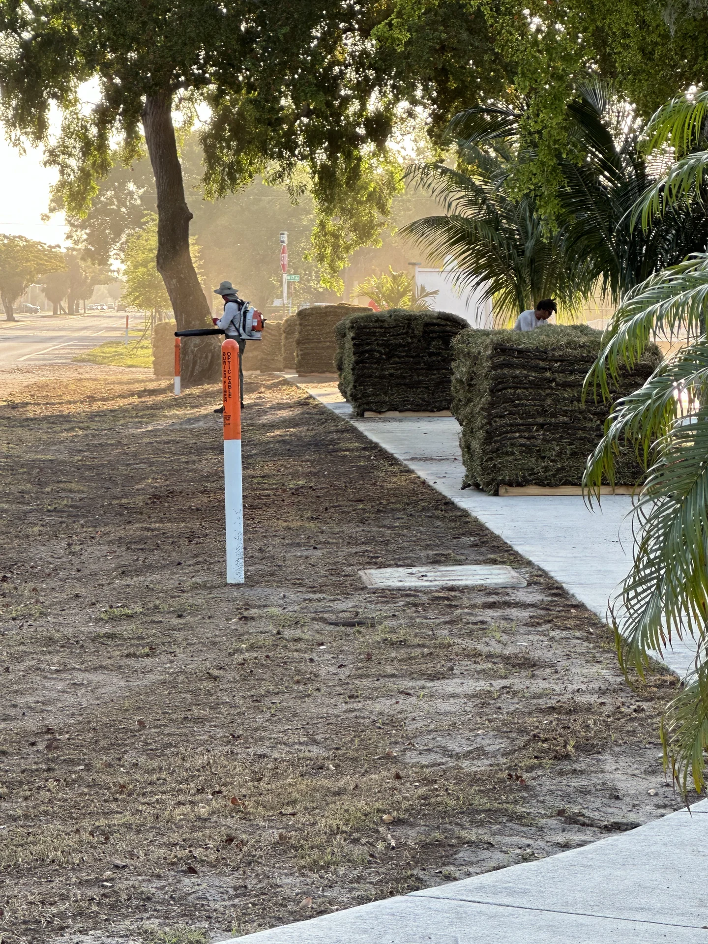 Sod and mulch installation Pompano Beach