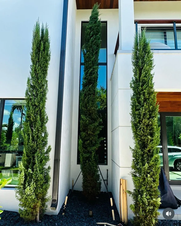 Landscaping installation Fort Lauderdale