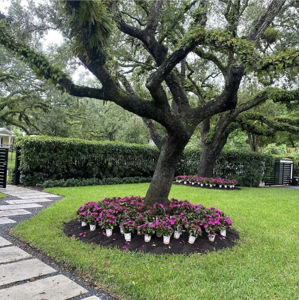 Landscape design South Florida