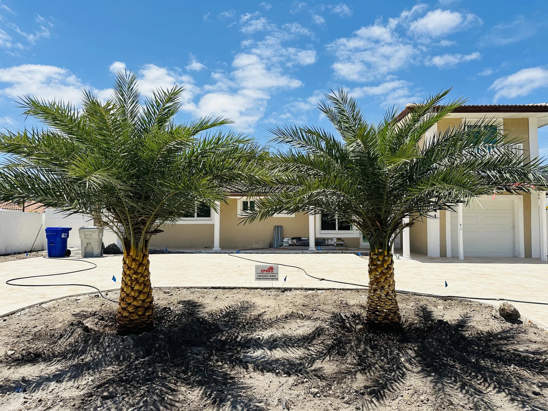 Tree and plant installation South Florida