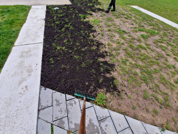 Organic Top Dressing