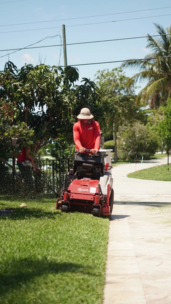 Professional lawn care service