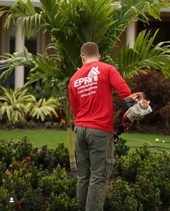 Lawn maintenance service result