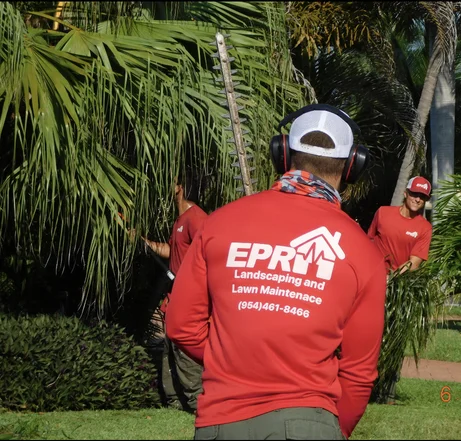 Hedge and shrub trimming Broward County