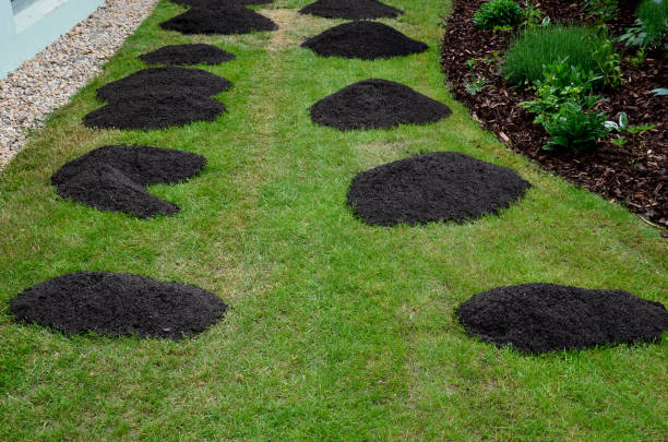 Top Lawn Dressing