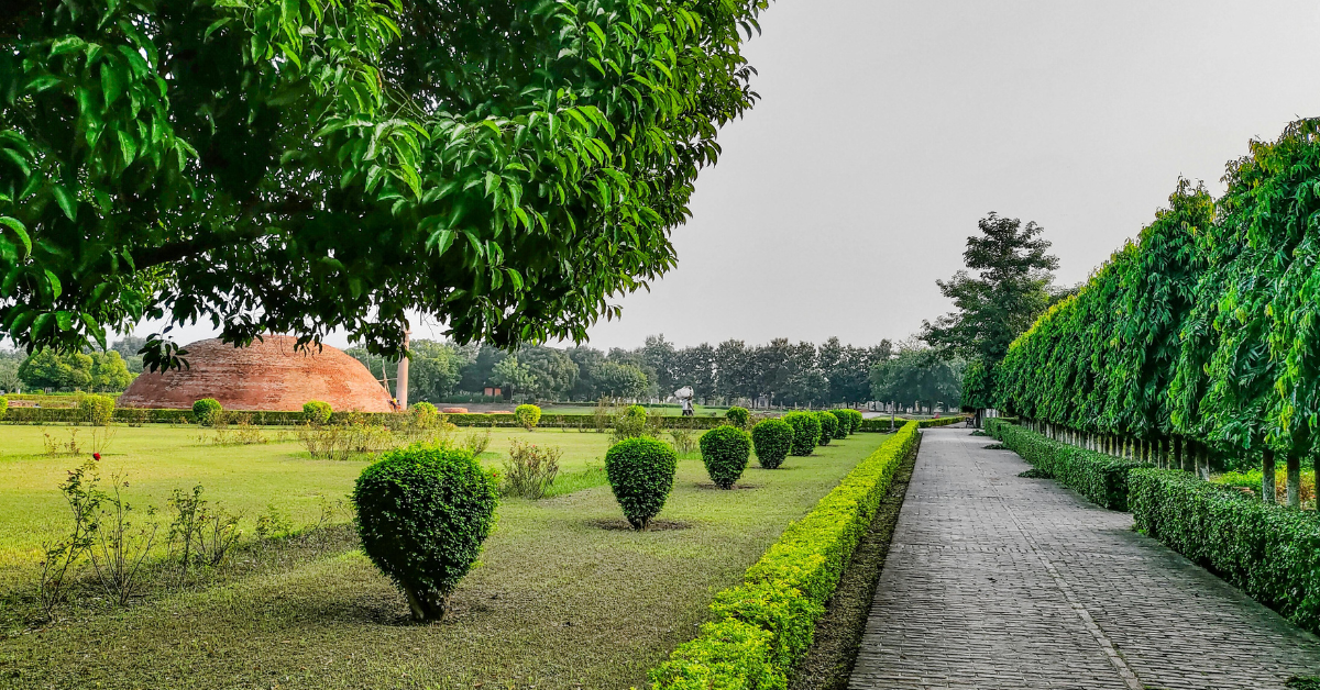 What Are the Best Low-Maintenance Landscaping Ideas for Small Yards?