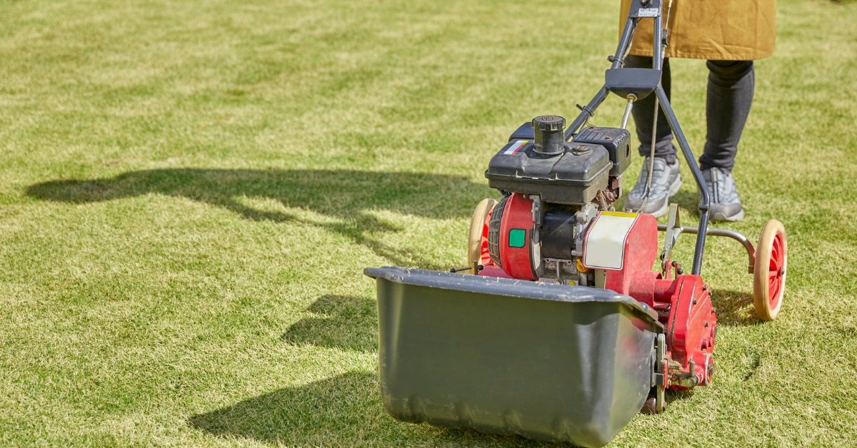 Best Lawn Mowing Schedule for South Florida Homeowners in Pompano Beach