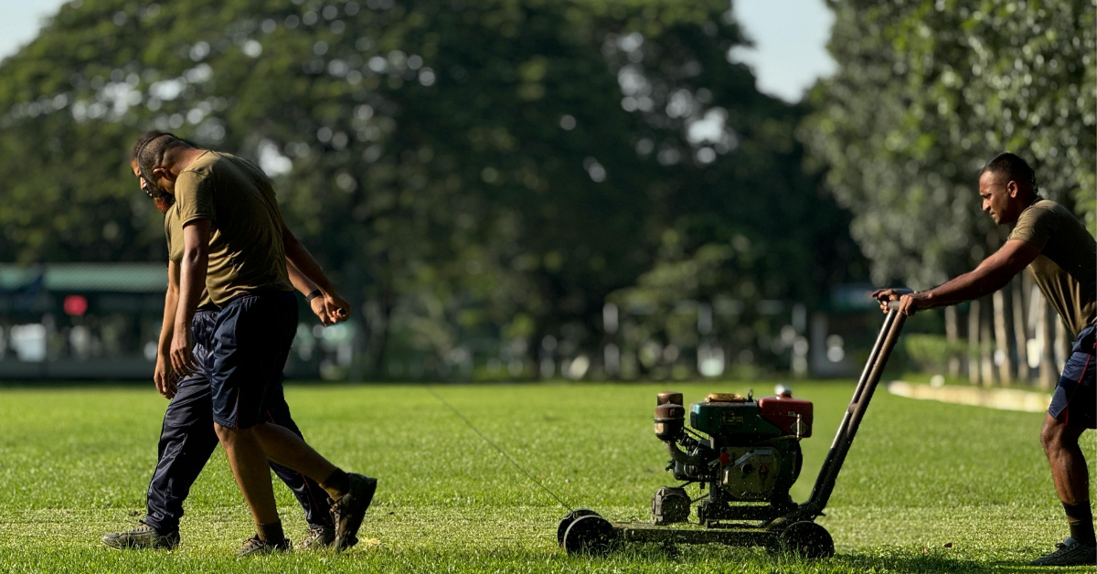 What Are the Signs Your Lawn Needs Professional Help?