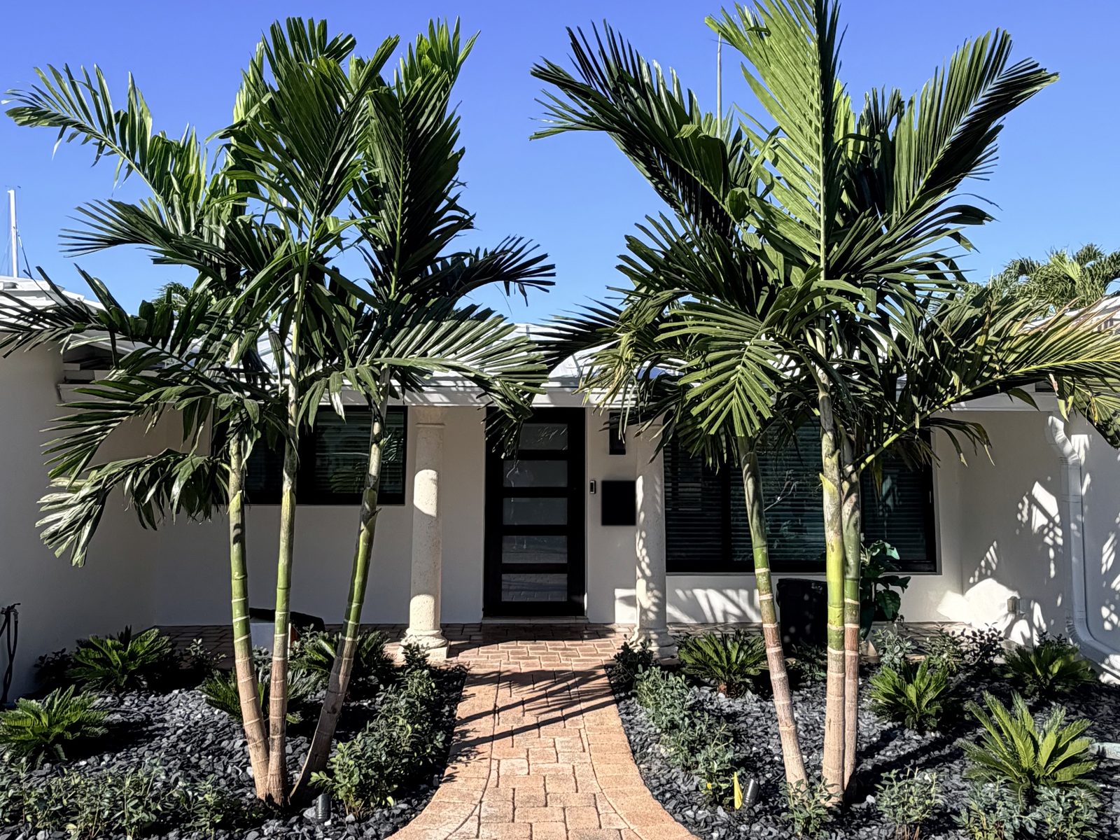 Brick paver entry with palms and rock beds