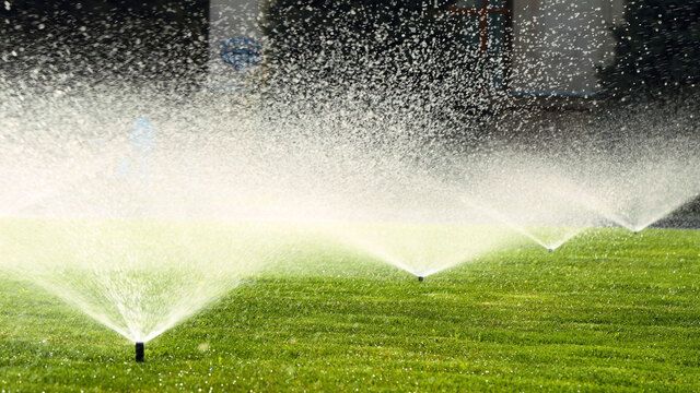 Sprinkler heads running on a serviced irrigation zone